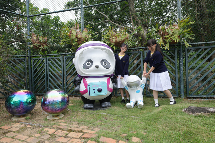 市建局將部分曾於觀塘「自由空間」展出的大熊貓裝置，送贈予三所學校；香港道教聯合會青松中學的學生非常喜歡這些新「同學」。